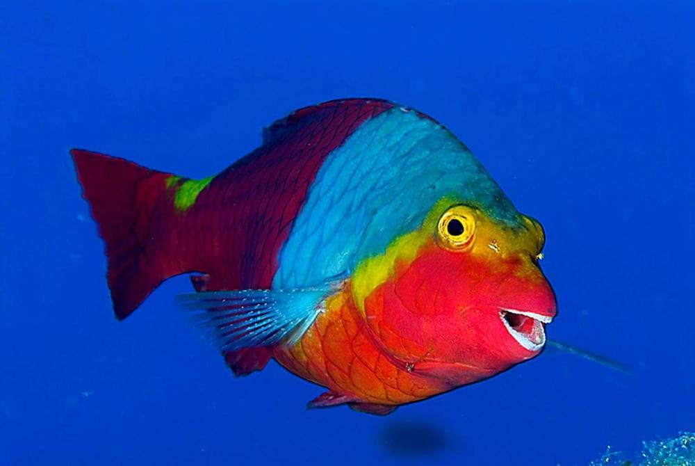 Acquario Dei Fralle Oristano Exteriör bild